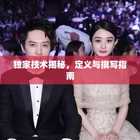 獨家技術(shù)揭秘,定義與撰寫指南