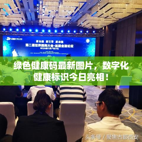 綠色健康碼最新圖片，數(shù)字化健康標(biāo)識今日亮相！