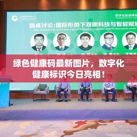 綠色健康碼最新圖片,數(shù)字化健康標(biāo)識今日亮相!