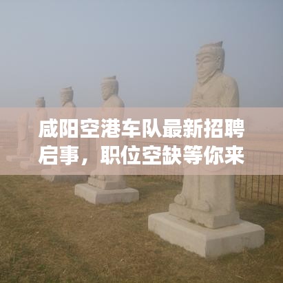 咸陽空港車隊最新招聘啟事,職位空缺等你來挑戰!