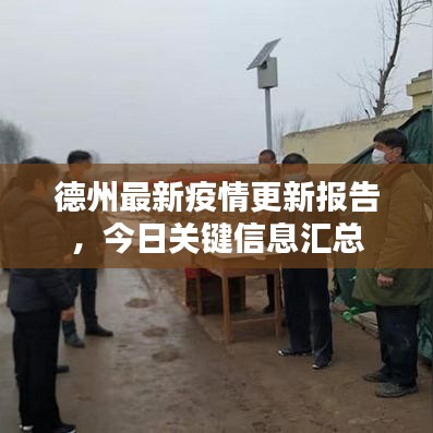德州最新疫情更新報告,今日關鍵信息匯總
