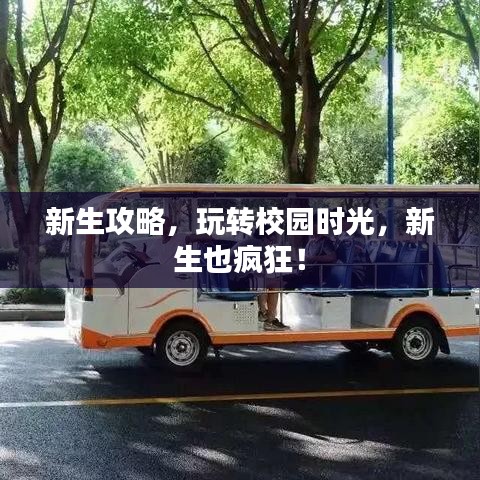 新生攻略，玩轉校園時光，新生也瘋狂！