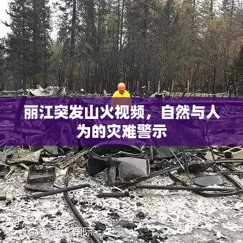 麗江突發(fā)山火視頻，自然與人為的災(zāi)難警示
