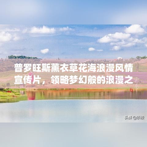 普羅旺斯薰衣草花海浪漫風(fēng)情宣傳片,領(lǐng)略夢幻般的浪漫之旅!