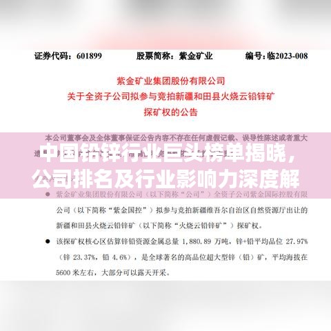 中國(guó)鉛鋅行業(yè)巨頭榜單揭曉,公司排名及行業(yè)影響力深度解析