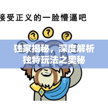 獨家揭秘，深度解析獨特玩法之奧秘