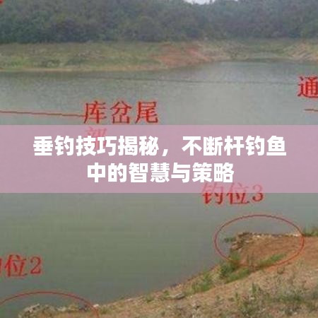 垂釣技巧揭秘,不斷桿釣魚中的智慧與策略