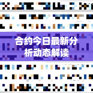 合約今日最新分析動態解讀