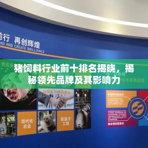 豬飼料行業(yè)前十排名揭曉,揭秘領(lǐng)先品牌及其影響力